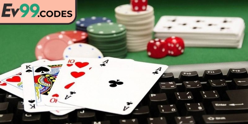 Lưu ý quan trọng dành cho hội newbie