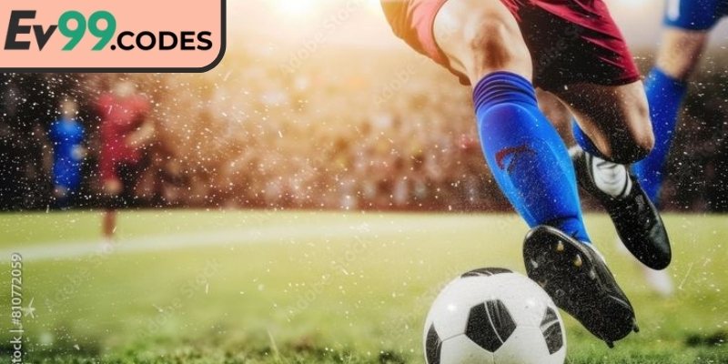 Chuyên gia cung cấp nhận định, giúp đưa ra quyết định chính xác